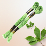Anchor Embroidery Thread with code 0421 in light green color